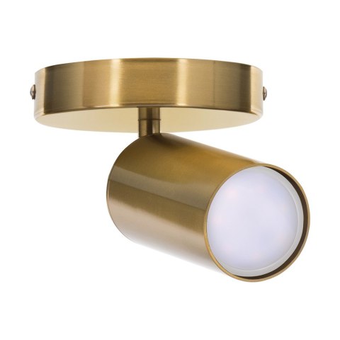 Kinkiet pojedynczy złoty sufitowy ścienny Activejet SPECTRA reflektor GU10 do salonu Kinkiet pojedynczy złoty sufitowy ścienny Activejet SPECTRA reflektor GU10 do salonu