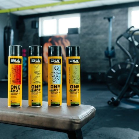 ERLA ONE SHOT 600ML OPAKOWANIE ZBIORCZE 12szt. NEUTRALIZATOR ZAPACHÓW SANDALWOOD ERLA ONE SHOT 600ML OPAKOWANIE ZBIORCZE 12szt. NEUTRALIZATOR ZAPACHÓW SANDALWOOD