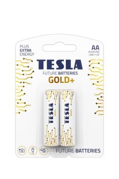 TESLA AA GOLD+[2X120]