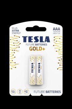 TESLA AAA GOLD+[2x120]