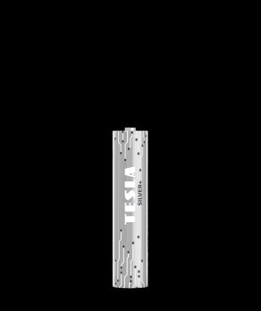 TESLA AAA SILVER+[2x120]
