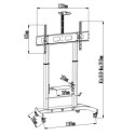 Uchwyt - Techly 360752 Mobilny stojak do telewizora LED/LCD/PDP, 52-110'', 120kg, półka AV