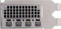 Karta graficzna PNY NVIDIA RTX A2000 12GB GDDR6 4x DisplayPort PCI Express 4.0 dual slot LP - ATX bracket Small Box