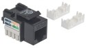 Intellinet 210416 Moduł Keystone RJ45 UTP Cat5e, Punch-Down, czarny