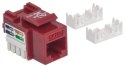Intellinet 210478 Moduł Keystone RJ45 UTP Cat5e, Punch-Down, czerwony