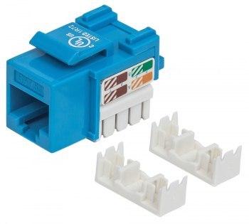 Intellinet 210546 Moduł Keystone RJ45 UTP Cat5e, Punch-Down, niebieski_ Intellinet 210546 Moduł Keystone RJ45 UTP Cat5e, Punch-Down, niebieski_