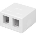 Techly 366310 Obudowa natynkowa na 2 moduły Keystone RJ45 lub RJ11/12