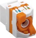 Techly 028573 Keystone RJ45 UTP Cat6 samozaciskowy, do PoE