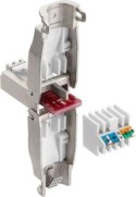 Techly 105872 Wtyk modularny RJ45 Cat6a 10G beznarzędziowy, STP