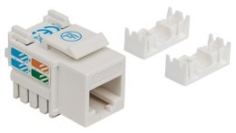 Moduł Keystone RJ45 UTP kat.5e do zarabiania Intellinet (biały)