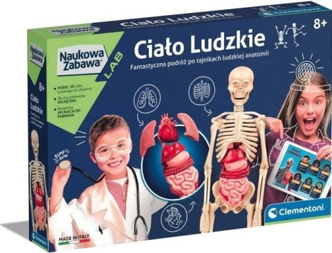 Ciało ludzkie montaż szkieletu i narządów Clementoni Ciało ludzkie montaż szkieletu i narządów Clementoni