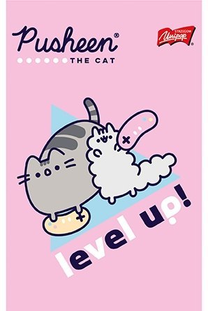 Notes notatnik A6 50 kartek kratka Kot Cat Pusheen Notes notatnik A6 50 kartek kratka Kot Cat Pusheen