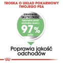 ROYAL CANIN CCN MAXI DIGESTIVE CARE - sucha karma dla psa dorosłego - 3kg