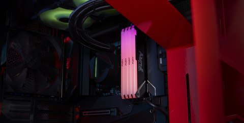 KINGSTON F DDR4 16GB 3200MHz CL16 RGB KINGSTON F DDR4 16GB 3200MHz CL16 RGB