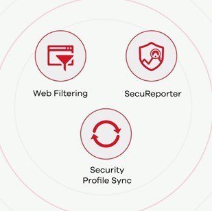 Firewall Zyxel USGFLEX50 1xWAN 4xLAN SPI firewall: 350 Mbps Max. IPsec VPN: 20 Firewall Zyxel USGFLEX50 1xWAN 4xLAN SPI firewall: 350 Mbps Max. IPsec VPN: 20
