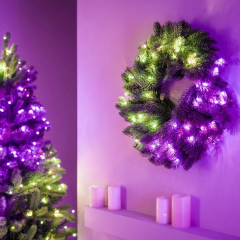 Twinkly Wstępnie oświetlony wieniec - 50 RGB LED, Regal 24" zielony przewód, typ wtyczki C Twinkly Wstępnie oświetlony wieniec - 50 RGB LED, Regal 24" zielony przewód, typ wtyczki C