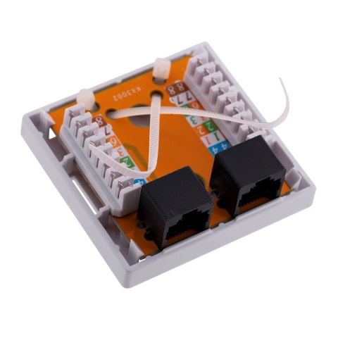ALANTEC Gniazdo natynk UTP 2xRJ45 kat.6 ALANTEC Gniazdo natynk UTP 2xRJ45 kat.6