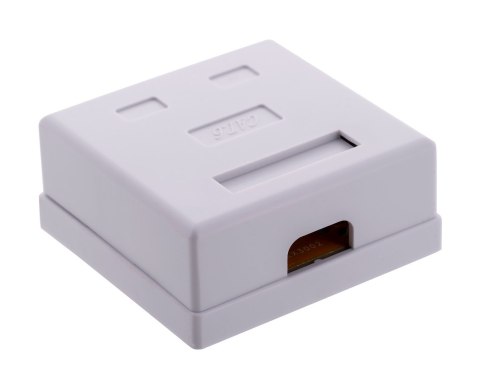 ALANTEC Gniazdo natynk UTP 2xRJ45 kat.6 ALANTEC Gniazdo natynk UTP 2xRJ45 kat.6