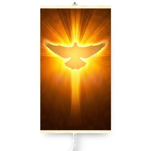 Grzejnik na podczerwień - giętki panel grzewczy 430W TRIO wzór 12 gołąb, wymiary 100x57cm z regulatorem Grzejnik na podczerwień - giętki panel grzewczy 430W TRIO wzór 12 gołąb, wymiary 100x57cm z regulatorem