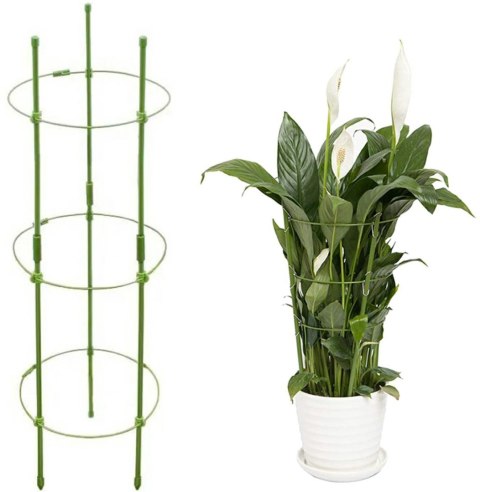 AG691G Podpora pierścieniowa 60cm roślin AG691G Podpora pierścieniowa 60cm roślin