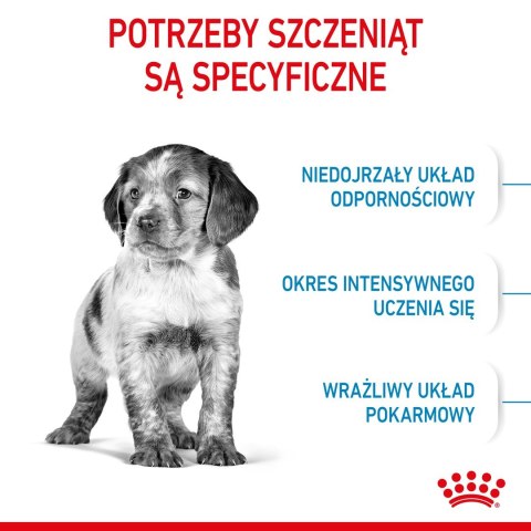 ROYAL CANIN SHN Medium Puppy - sucha karma dla szczeniąt - 15 kg ROYAL CANIN SHN Medium Puppy - sucha karma dla szczeniąt - 15 kg