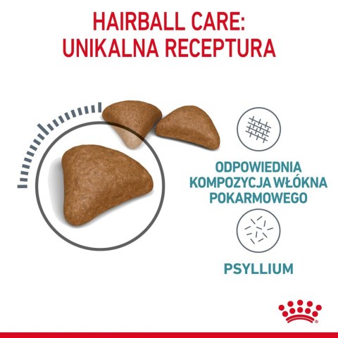 ROYAL CANIN FCN Hairball Care - sucha karma dla kota dorosłego - 4kg ROYAL CANIN FCN Hairball Care - sucha karma dla kota dorosłego - 4kg