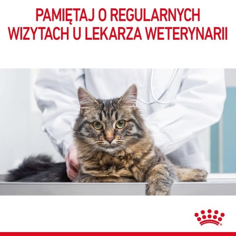 ROYAL CANIN FCN Hairball Care - sucha karma dla kota dorosłego - 4kg ROYAL CANIN FCN Hairball Care - sucha karma dla kota dorosłego - 4kg