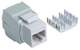 Intellinet 167062 Samozaciskowy moduł Keystone Cat6 UTP Twist-On, biały
