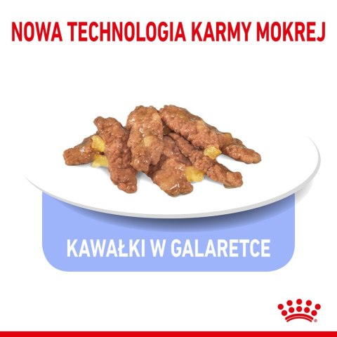 ROYAL CANIN FHN Indoor w galaretce - mokra karma dla kota dorosłego - 12x85 g ROYAL CANIN FHN Indoor w galaretce - mokra karma dla kota dorosłego - 12x85 g