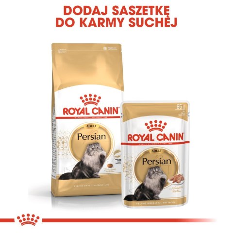 ROYAL CANIN FBN Persian Adult - sucha karma dla kota dorosłego - 10 kg ROYAL CANIN FBN Persian Adult - sucha karma dla kota dorosłego - 10 kg