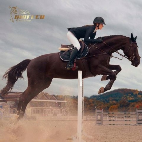 BioFeed Horse&Pony Respiration Musli - musli dla wsparcia układu oddechowego 20kg BioFeed Horse&Pony Respiration Musli - musli dla wsparcia układu oddechowego 20kg