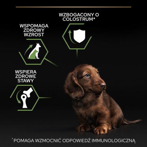 PURINA Pro Plan Healthy Start Small & Mini Puppy - sucha karma dla psa - 3 kg PURINA Pro Plan Healthy Start Small & Mini Puppy - sucha karma dla psa - 3 kg