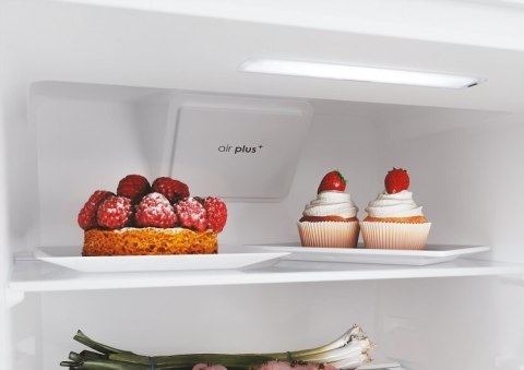 Chłodziarko-zamrażarka CANDY CBL3518ECM Chłodziarko-zamrażarka CANDY CBL3518ECM