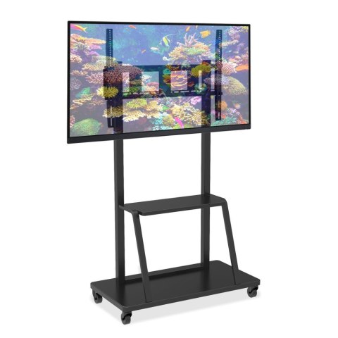 TECHLY STOJAK MOBILNY TV LED/LCD/PDP 55-100 CALI 150KG Z PÓŁKĄ ICA-TR30 TECHLY STOJAK MOBILNY TV LED/LCD/PDP 55-100 CALI 150KG Z PÓŁKĄ ICA-TR30