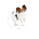 Royal Canin SHN Xsmall Adult 8+ 1,5kg