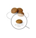Royal Canin SHN Xsmall Adult 8+ 1,5kg