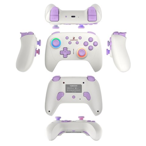 Gamepad ANBERNIC P01 Beige White Gamepad ANBERNIC P01 Beige White