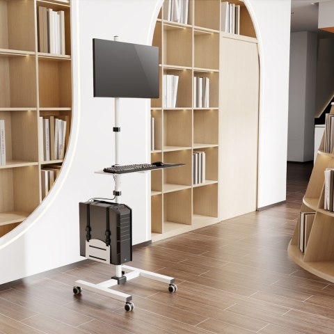 MACLEAN WÓZEK STAND PROFESJONALNY, MOBILNE STANOWISKO KOMPUTEROWE NA KÓŁKACH, MAX 17"-32", MAX 20KG MC-793 W MACLEAN WÓZEK STAND PROFESJONALNY, MOBILNE STANOWISKO KOMPUTEROWE NA KÓŁKACH, MAX 17"-32", MAX 20KG MC-793 W
