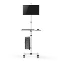 MACLEAN WÓZEK STAND PROFESJONALNY, MOBILNE STANOWISKO KOMPUTEROWE NA KÓŁKACH, MAX 17"-32", MAX 20KG MC-793 W