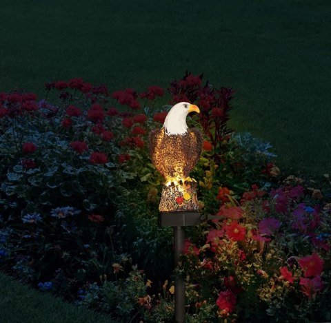ZD50L Lampa solarna led orzeł ZD50L Lampa solarna led orzeł