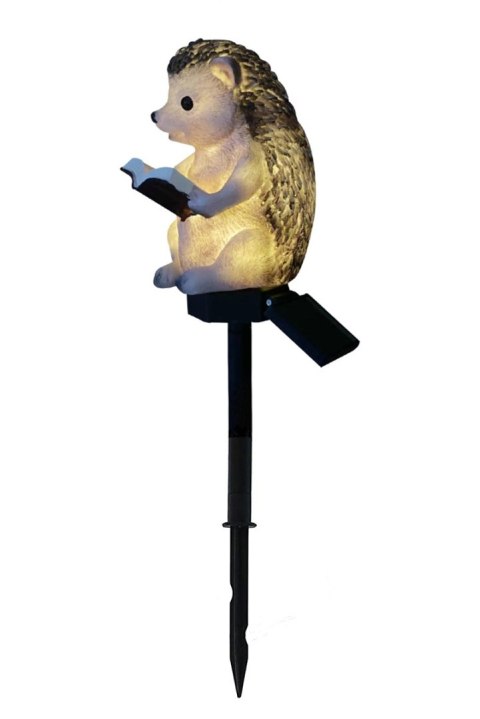 ZD50N Lampa solarna led jeż ZD50N Lampa solarna led jeż