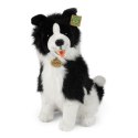 Rappa - Pluszowa maskotka siedzący Pies Border Collie 40 cm Eco-Friendly