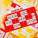 Gra ludoteca bingo