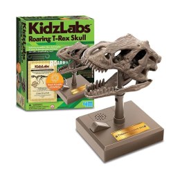 Zestaw edukacyjny rycząca czaszka t-rex