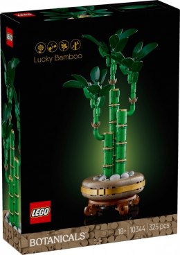 Klocki botanicals 10344 dracena sandera