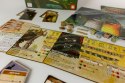 Gra spirit island: zarośla i szpony