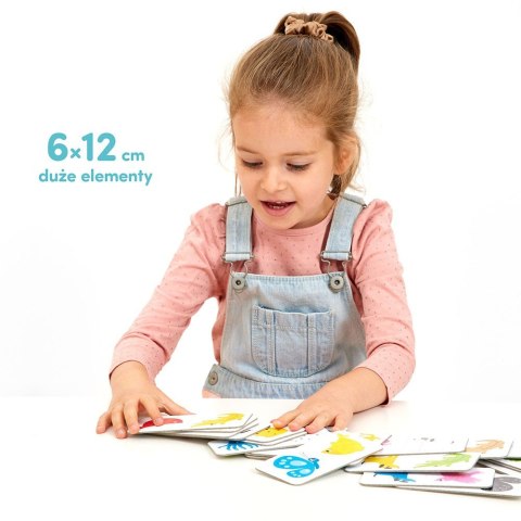 Gra domino kolory Gra domino kolory