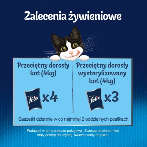 FELIX Fantastic Wiejskie smaki - mokra karma dla kota - 12x85g FELIX Fantastic Wiejskie smaki - mokra karma dla kota - 12x85g
