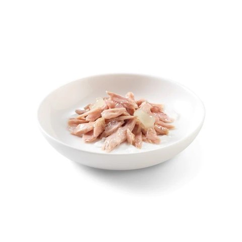 SCHESIR dla kotów Adult w Galarecie Tuńczyk z Aloesem 85g SCHESIR dla kotów Adult w Galarecie Tuńczyk z Aloesem 85g