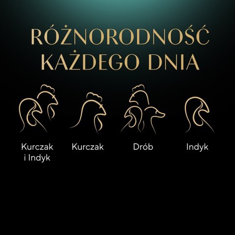 SHEBA Select Slices drób/kurczak/indyk w sosie - mokra karma dla kota - tacka - 32x85 g SHEBA Select Slices drób/kurczak/indyk w sosie - mokra karma dla kota - tacka - 32x85 g
